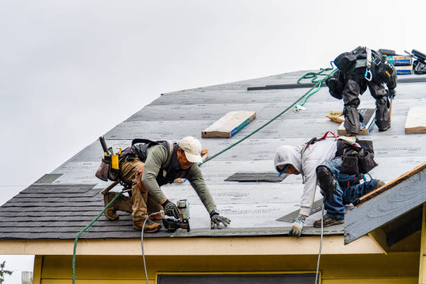 Professional Roofing technician working in Harlan, IA